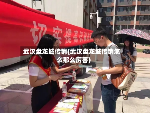 武汉盘龙城传销(武汉盘龙城传销怎么那么厉害)-第3张图片