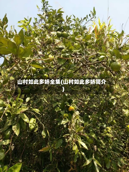 山村如此多娇全集(山村如此多娇简介)-第1张图片