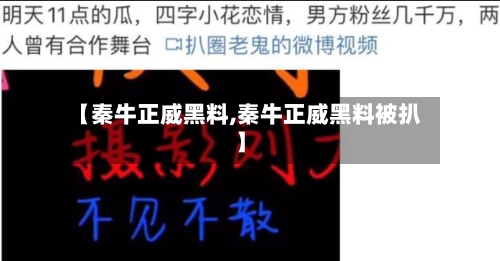 【秦牛正威黑料,秦牛正威黑料被扒】-第2张图片