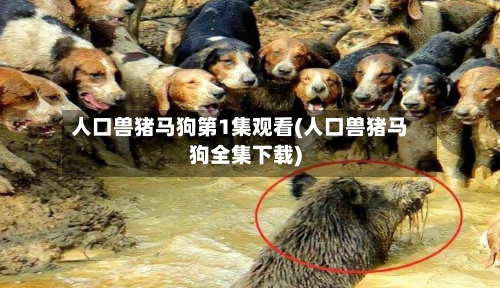 人口兽猪马狗第1集观看(人口兽猪马狗全集下载)-第2张图片