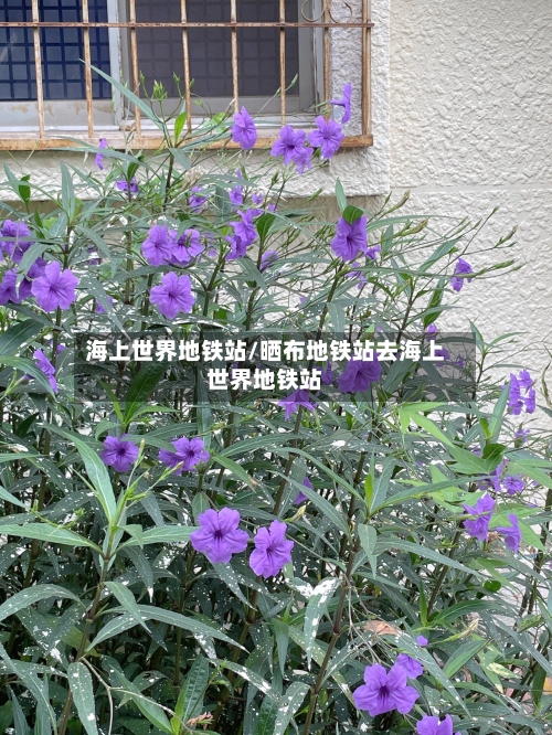 海上世界地铁站/晒布地铁站去海上世界地铁站-第2张图片