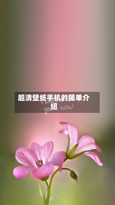 超清壁纸手机的简单介绍-第2张图片