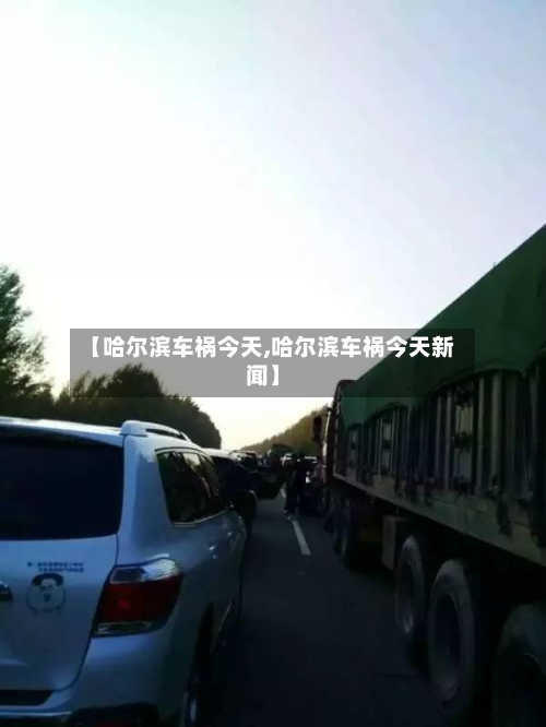 【哈尔滨车祸今天,哈尔滨车祸今天新闻】-第1张图片