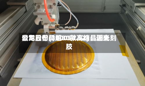 鼎龙股份(300054.SZ)：近来公司已布局超30款高端晶圆光刻胶-第2张图片