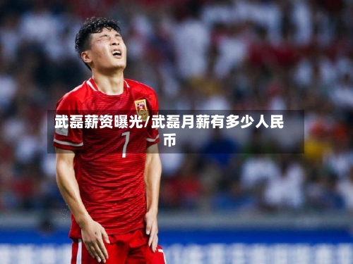 武磊薪资曝光/武磊月薪有多少人民币-第3张图片