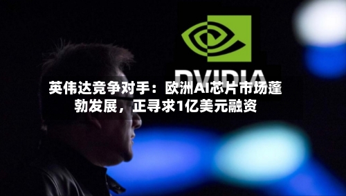 英伟达竞争对手：欧洲AI芯片市场蓬勃发展，正寻求1亿美元融资-第3张图片