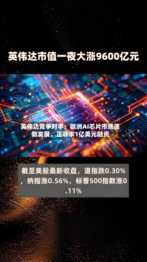 英伟达竞争对手：欧洲AI芯片市场蓬勃发展，正寻求1亿美元融资-第1张图片