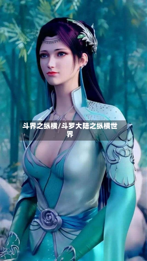 斗界之纵横/斗罗大陆之纵横世界-第2张图片