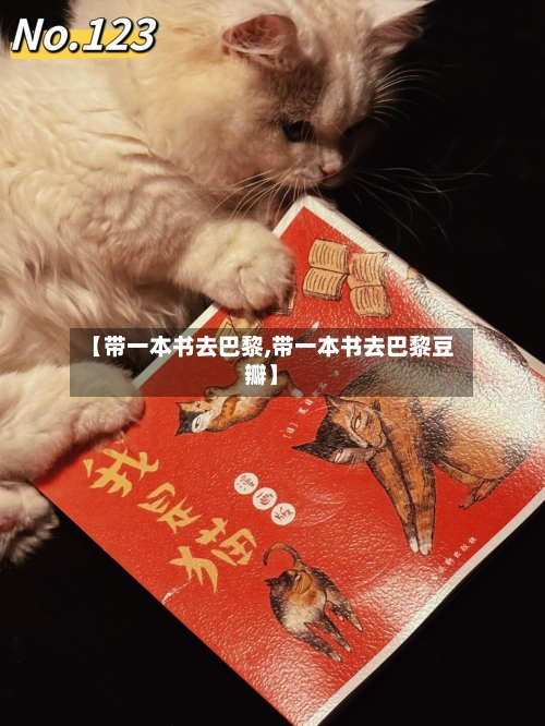 【带一本书去巴黎,带一本书去巴黎豆瓣】-第2张图片