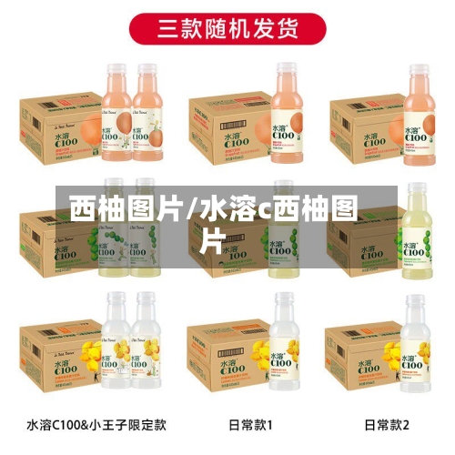 西柚图片/水溶c西柚图片-第1张图片