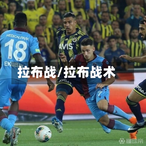 拉布战/拉布战术-第2张图片