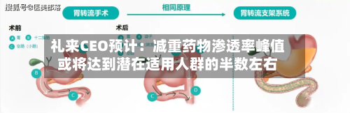礼来CEO预计：减重药物渗透率峰值或将达到潜在适用人群的半数左右-第2张图片