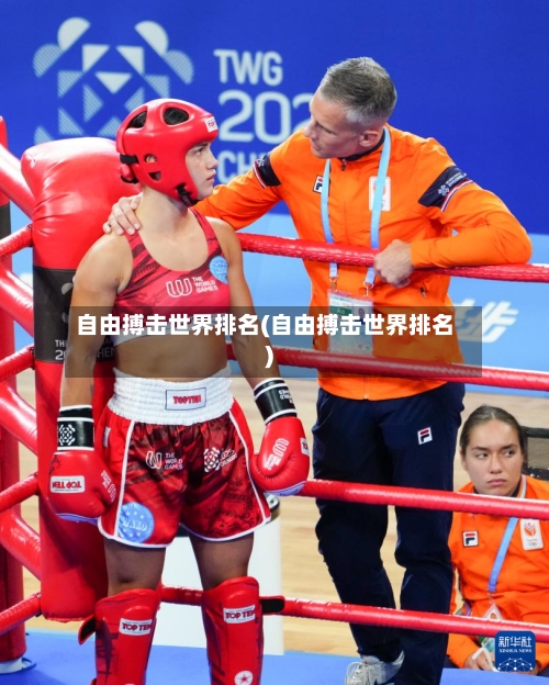 自由搏击世界排名(自由搏击世界排名)-第2张图片