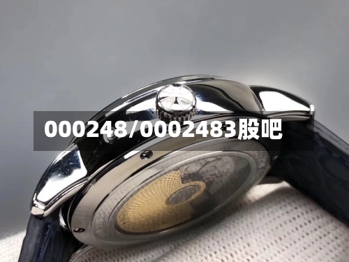 000248/0002483股吧-第2张图片