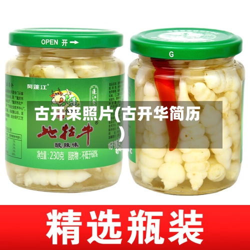 古开来照片(古开华简历)-第3张图片