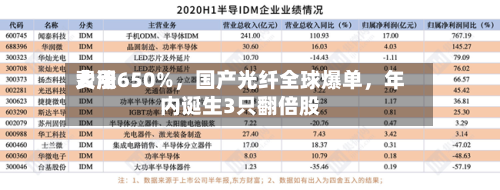 费用大涨650%，国产光纤全球爆单，年内诞生3只翻倍股-第3张图片