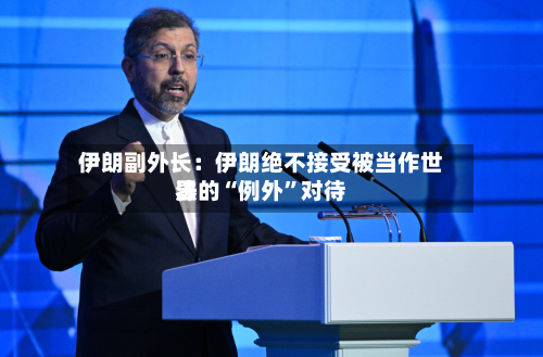 伊朗副外长：伊朗绝不接受被当作世界法的“例外”对待-第3张图片