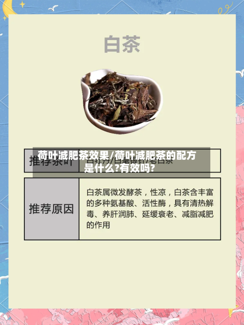 荷叶减肥茶效果/荷叶减肥茶的配方是什么?有效吗?-第2张图片