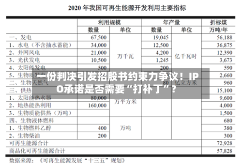 一份判决引发招股书约束力争议！IPO承诺是否需要“打补丁	”？-第2张图片