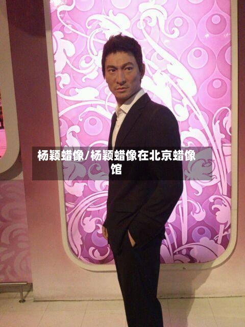 杨颖蜡像/杨颖蜡像在北京蜡像馆-第3张图片