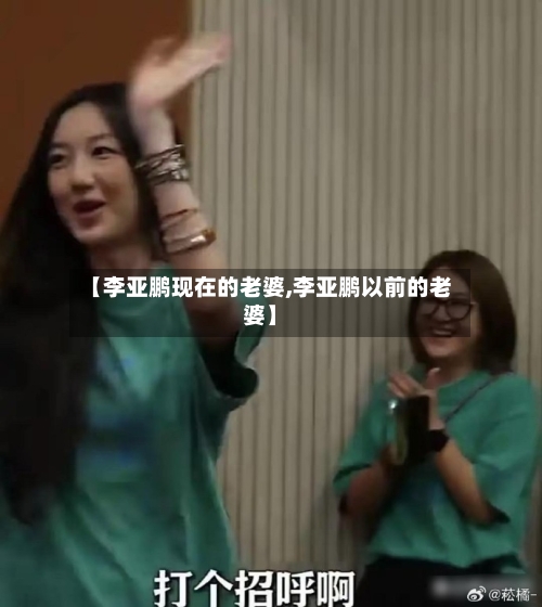 【李亚鹏现在的老婆,李亚鹏以前的老婆】-第1张图片