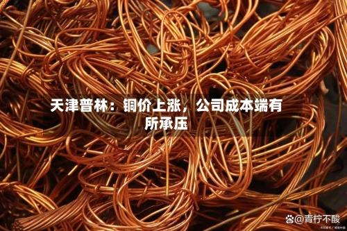 天津普林：铜价上涨	，公司成本端有所承压-第1张图片