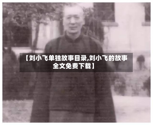 【刘小飞单独故事目录,刘小飞的故事全文免费下载】-第1张图片