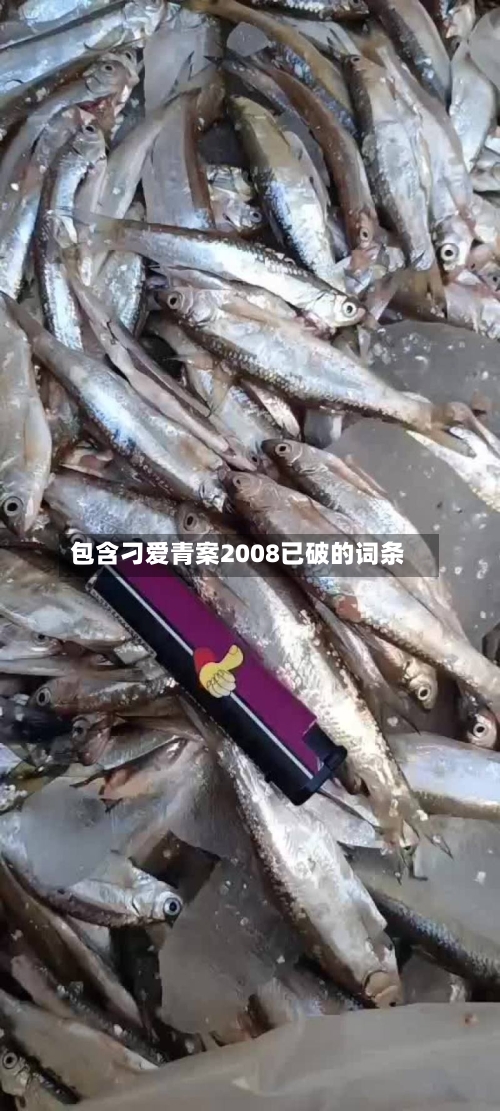 包含刁爱青案2008已破的词条-第3张图片