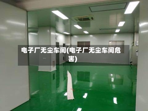 电子厂无尘车间(电子厂无尘车间危害)-第2张图片