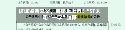 被证监会立案，或终止上市！*ST太和“一字”跌停-第1张图片