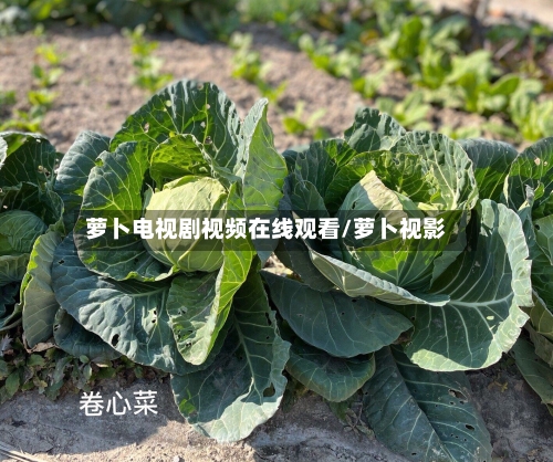 萝卜电视剧视频在线观看/萝卜视影-第1张图片