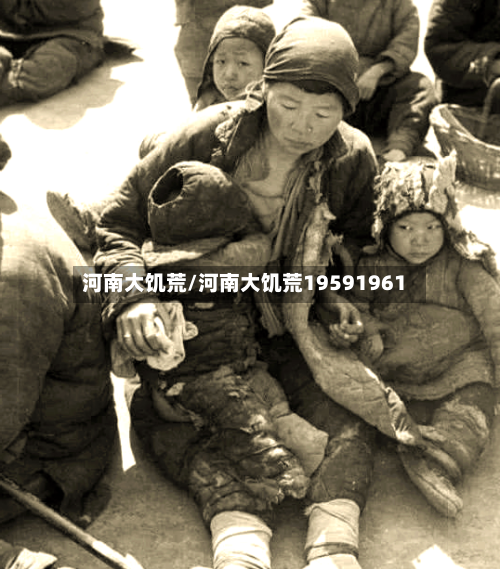河南大饥荒/河南大饥荒19591961-第2张图片