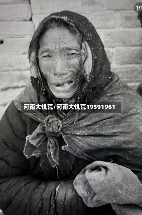河南大饥荒/河南大饥荒19591961-第3张图片
