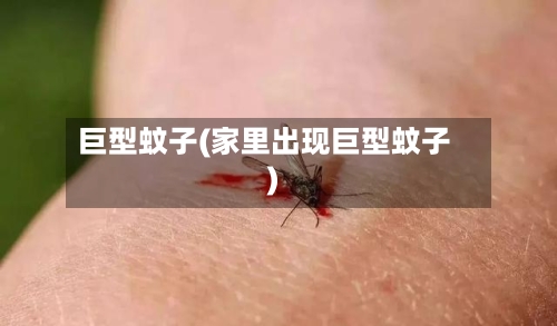 巨型蚊子(家里出现巨型蚊子)-第3张图片