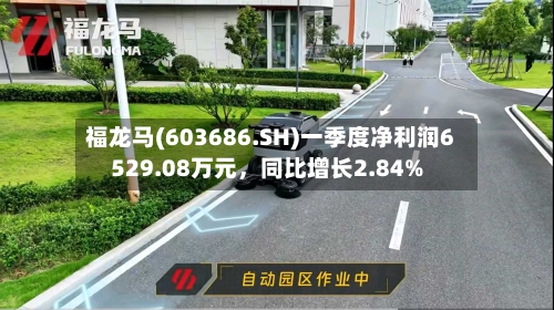 福龙马(603686.SH)一季度净利润6529.08万元	，同比增长2.84%-第1张图片