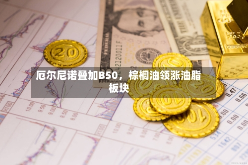 厄尔尼诺叠加B50，棕榈油领涨油脂板块-第3张图片