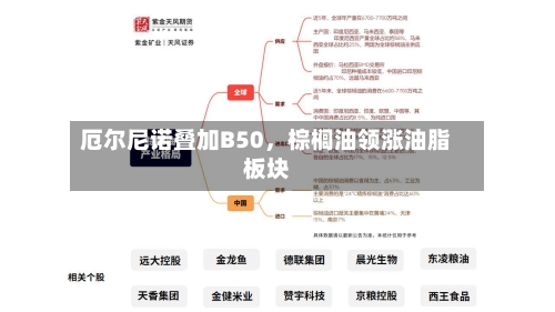 厄尔尼诺叠加B50	，棕榈油领涨油脂板块-第2张图片