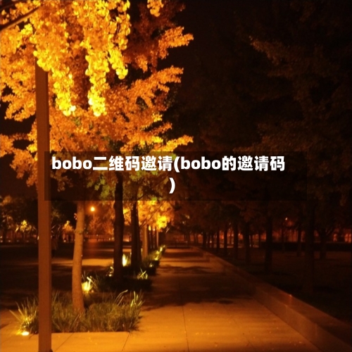 bobo二维码邀请(bobo的邀请码)-第2张图片