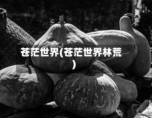 苍茫世界(苍茫世界林荒)-第1张图片