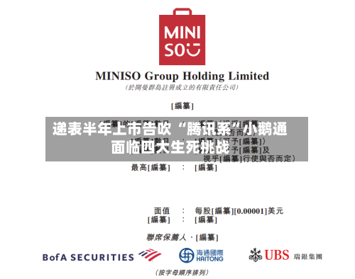 递表半年上市告吹 “腾讯系”小鹅通面临四大生死挑战-第3张图片