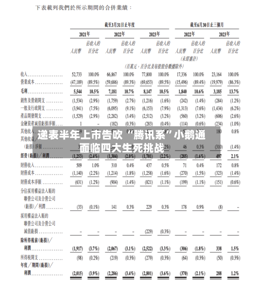 递表半年上市告吹 “腾讯系”小鹅通面临四大生死挑战-第1张图片