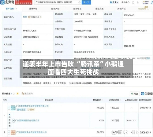 递表半年上市告吹 “腾讯系	”小鹅通面临四大生死挑战-第2张图片