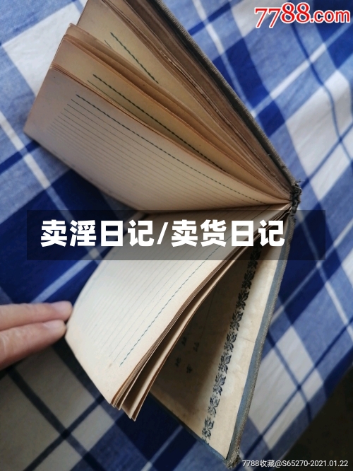 卖淫日记/卖货日记-第2张图片