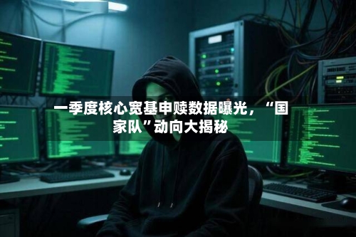 一季度核心宽基申赎数据曝光，“国家队	”动向大揭秘-第2张图片