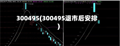 300495(300495退市后安排)-第2张图片