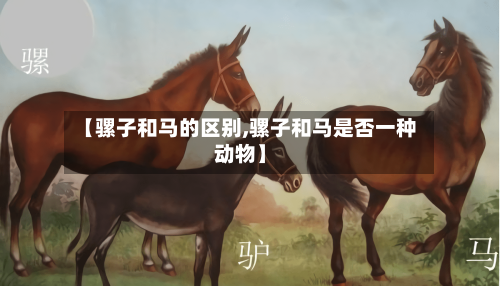 【骡子和马的区别,骡子和马是否一种动物】-第2张图片