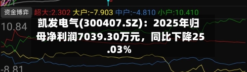 凯发电气(300407.SZ)：2025年归母净利润7039.30万元，同比下降25.03%-第1张图片