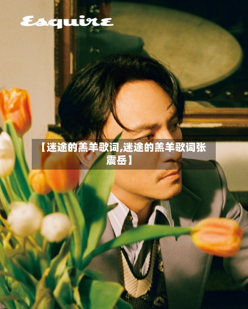 【迷途的羔羊歌词,迷途的羔羊歌词张震岳】-第1张图片