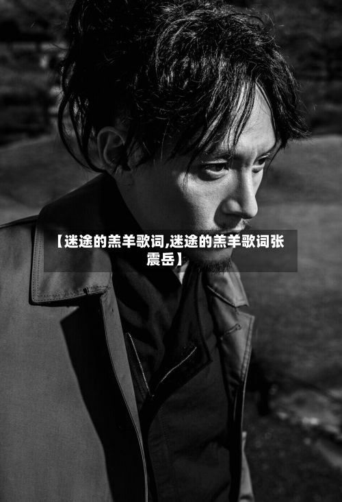 【迷途的羔羊歌词,迷途的羔羊歌词张震岳】-第3张图片