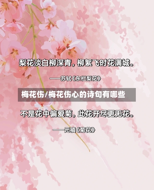 梅花伤/梅花伤心的诗句有哪些-第1张图片